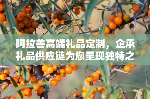 阿拉善高端礼品定制，企承礼品供应链为您呈现独特之选